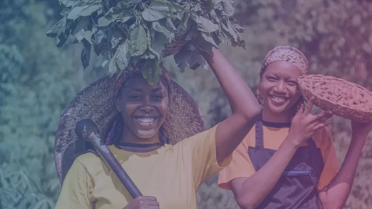 Are small farms the solution to food insecurity? Uganda study shows policies can get it wrong