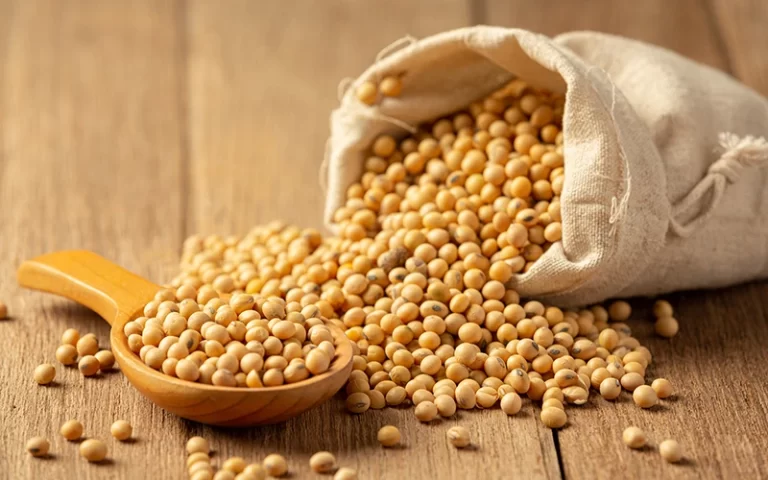 Soya beans